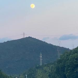 峰哥盘点头像