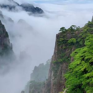 美景of认生 头像