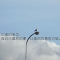 随行100头像