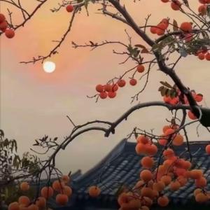 清风AI闫头像