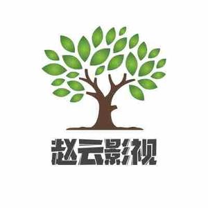 赵云影视头像