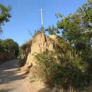 邙岭墨客26头像