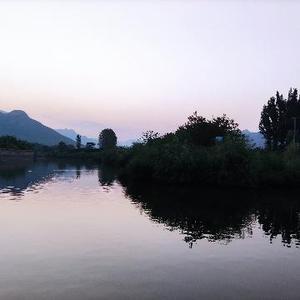 金山法寺头像