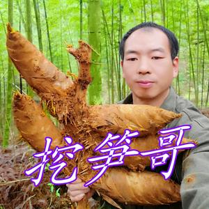 挖笋哥头像