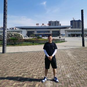 人是木的头像