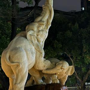 林思凯院长头像