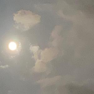 刘小乖0a2o头像