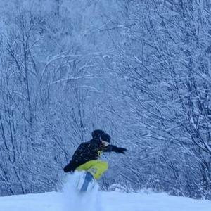 欧瑞野雪公园头像