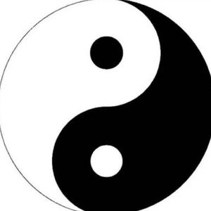 风子头像