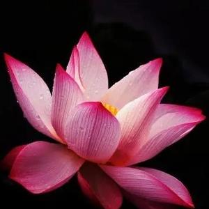 王大爷说故事头像