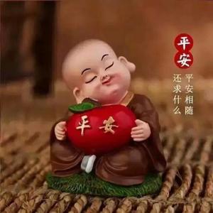 智臻生活头像