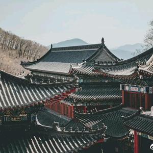 懿诗头像
