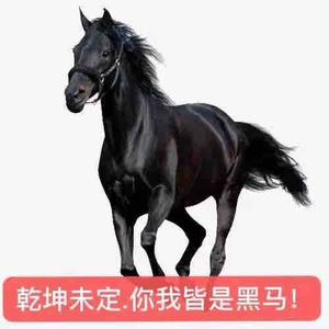 大器晚成头像