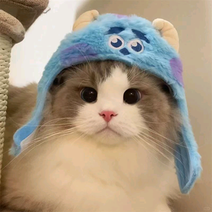 小地球之星球动画头像