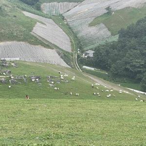 在溜冰场旋转的舞者头像