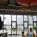 马小羽2014头像