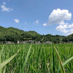 何老二自媒体创业头像