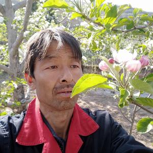 农人小姬头像