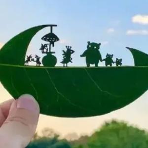 3366wyc忘忧草头像