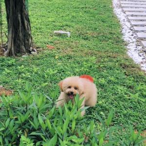 每日发发福头像