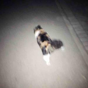 话唠12头像