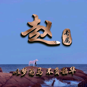 Zhaoming8881头像