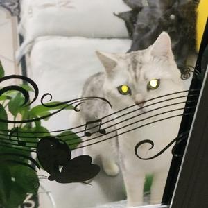 浮世叨叨猫头像