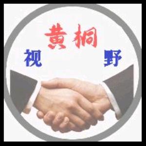 黄桐视野头像