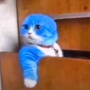 你们不认识我头像