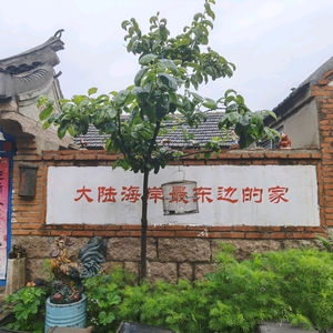 东方红民宿客栈追梦1893头像