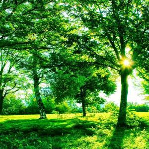 淮安本命年店东乔老师头像