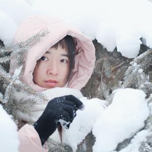 优雅林家小七头像