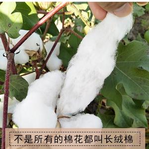心安才是归处头像