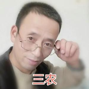 木火同明头像