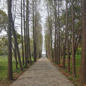 小么阿爱学习头像