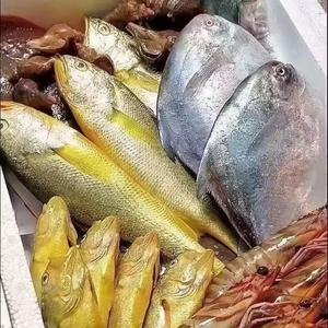 大彭海鲜头像