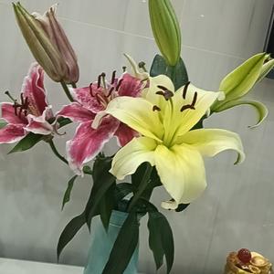 草莓很甜头像