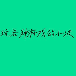 玩各种游戏的小波头像