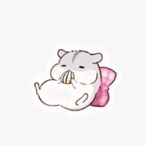 秋小海头像
