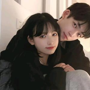 驻扎城外的猫将军5l5b 头像