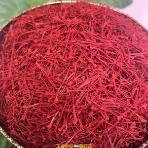 高原的藏红花头像