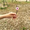 深小学娃头像