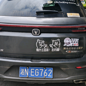 怀化、张先生头像