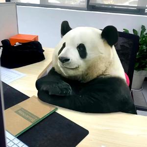 夸夸奇谈头像