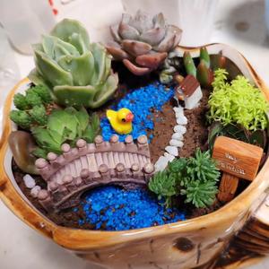 市井小糊涂头像