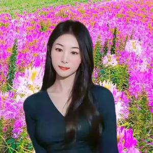 馨彩衣衣头像