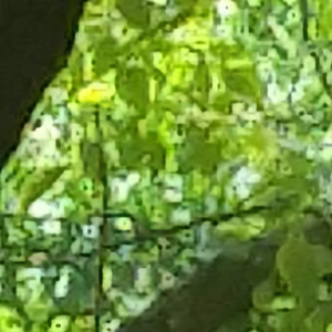 红一片头像