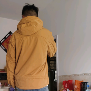 一如梦初心一头像
