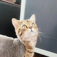 ii走走停停头像