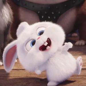 可爱的小白兔动漫头像
